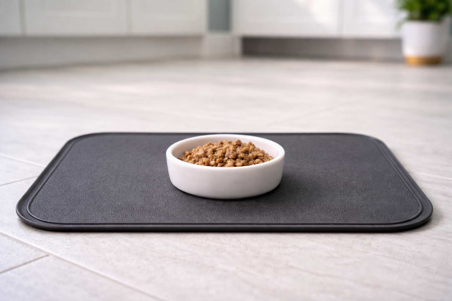 Small bowl of wet kitten food