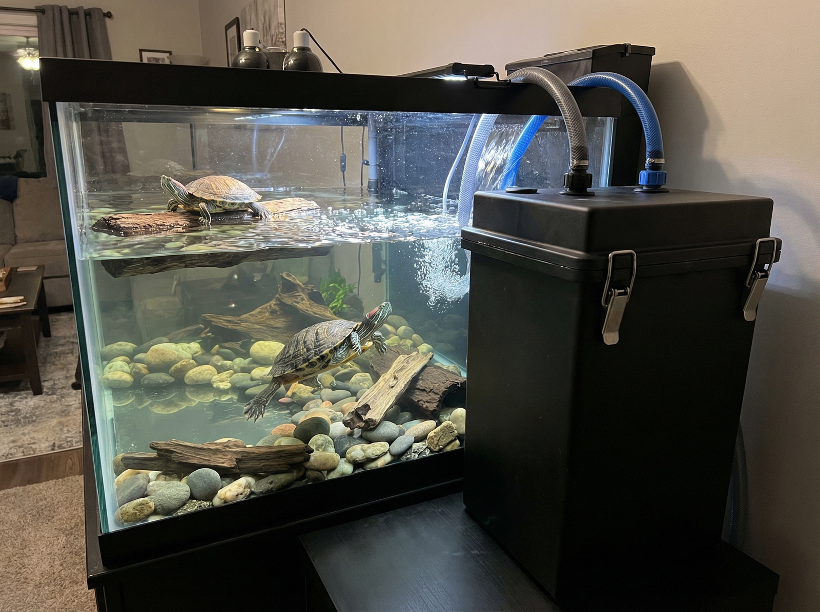 Rectangular external turtle canister filter beside a long turtle tank