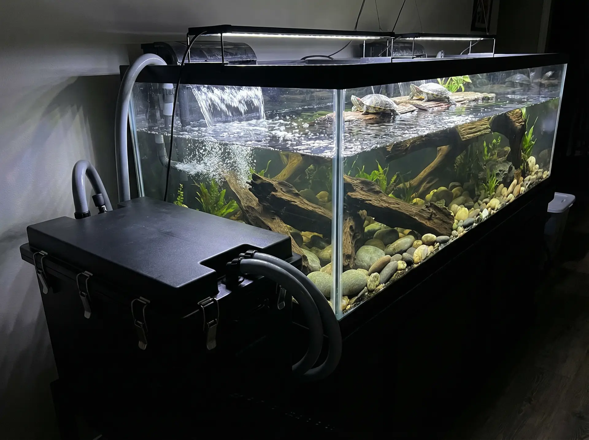 Large drum-style turtle canister filter beside a large turtle tank