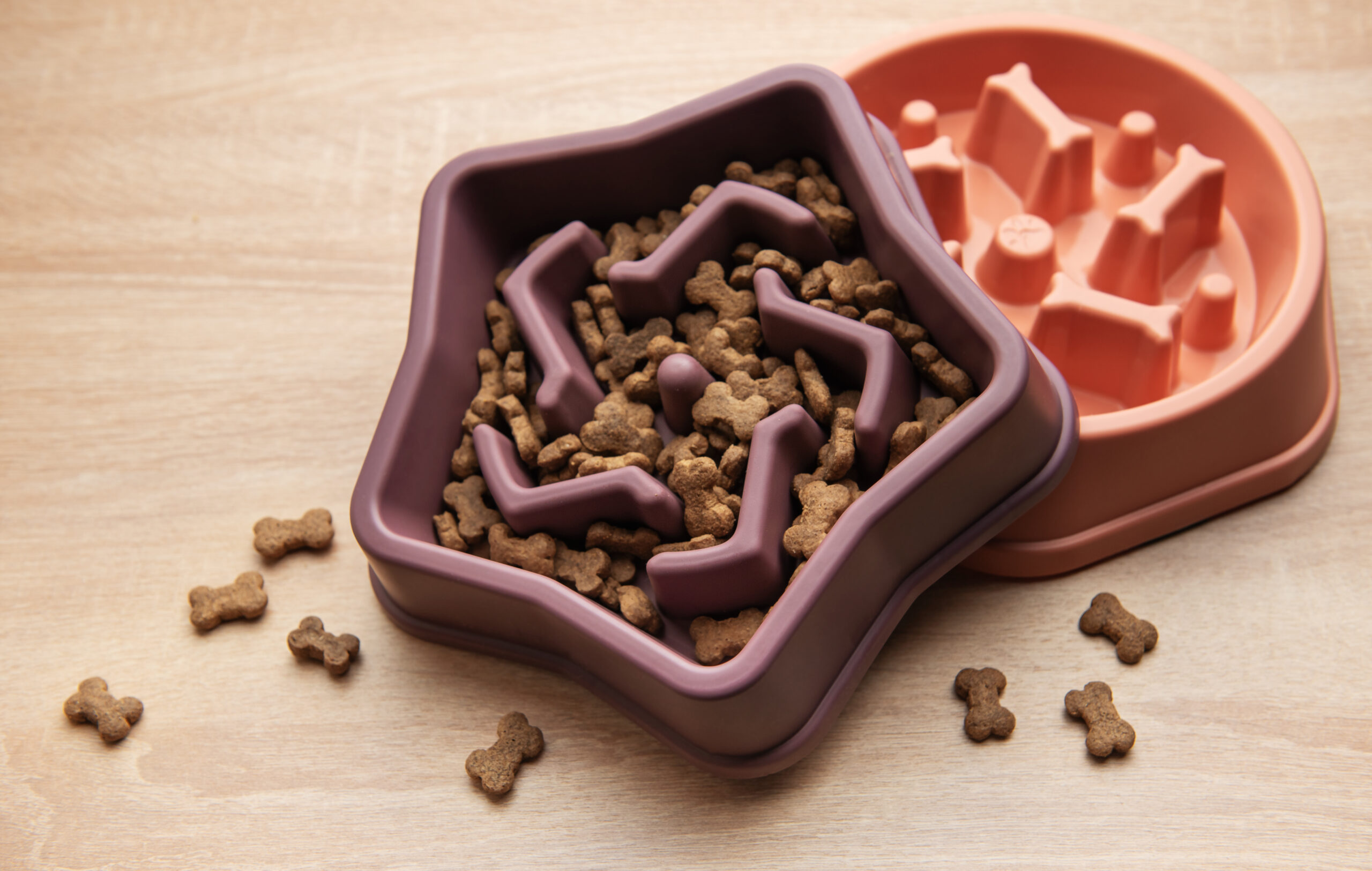 Dog eating from a slow feeder bowl