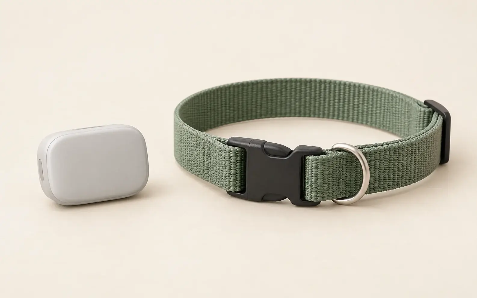 Illustration of a small unbranded tracker beside a green fabric pet collar